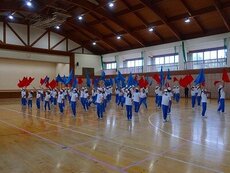 IMG_5265.jpg