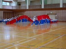 IMG_5290.jpg