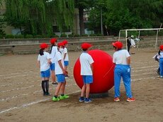 IMG_5390.jpg