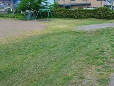 IMG_5486.jpg