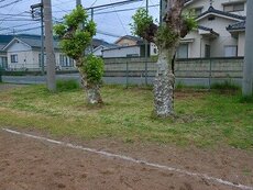 IMG_5490.jpg