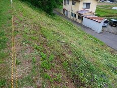 IMG_5499.jpg