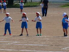 IMG_5538.jpg