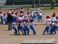 IMG_5544.jpg