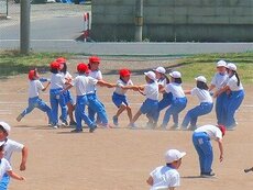 IMG_5546.jpg
