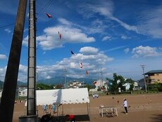 IMG_5559.jpg