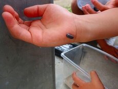 IMG_5570.jpg