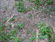 IMG_5574.jpg