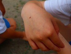 IMG_5575.jpg