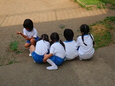 IMG_5576.jpg