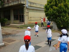 IMG_5588.jpg