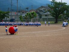 IMG_5608.jpg