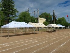 IMG_5614.jpg