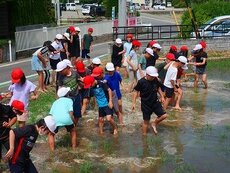 IMG_5649.jpg