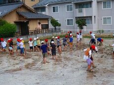 IMG_5684.jpg