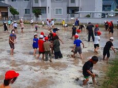 IMG_5710.jpg
