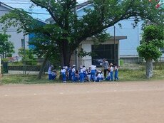 IMG_5772.jpg
