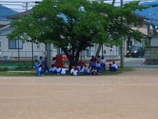 IMG_5773.jpg