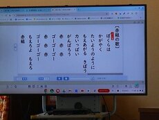 IMG_5843.jpg