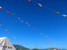 IMG_5882.jpg