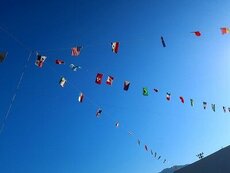 IMG_5897.jpg