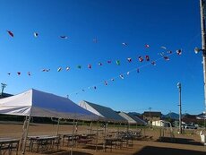 IMG_5900.jpg