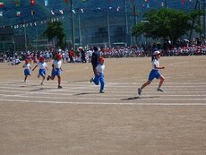IMG_5939.jpg