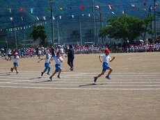 IMG_5940.jpg