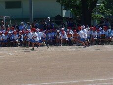 IMG_5950.jpg