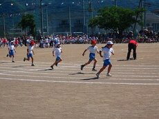 IMG_5954.jpg