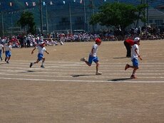 IMG_5960.jpg
