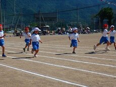 IMG_5965.jpg
