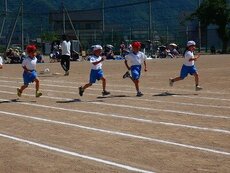 IMG_5972.jpg