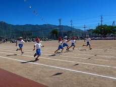 IMG_5975.jpg