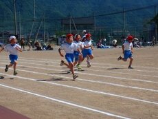 IMG_5978.jpg