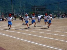 IMG_5979.jpg