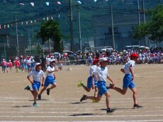 IMG_6015.jpg