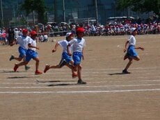 IMG_6017.jpg