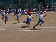 IMG_6022.jpg