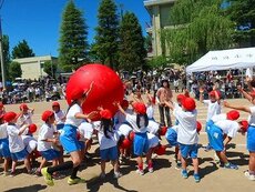 IMG_6032.jpg
