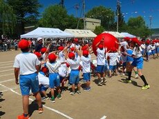 IMG_6037.jpg