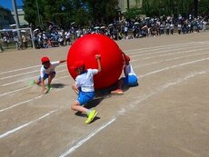IMG_6038.jpg