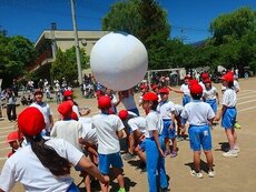 IMG_6043.jpg