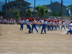 IMG_6046.jpg