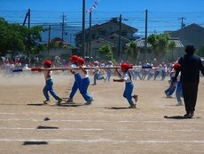 IMG_6050.jpg