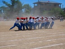 IMG_6059.jpg