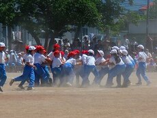 IMG_6062.jpg