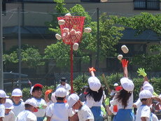 IMG_6121.JPG