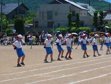 IMG_6130.jpg