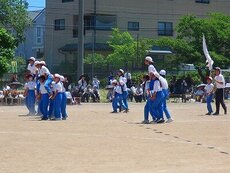 IMG_6152.jpg